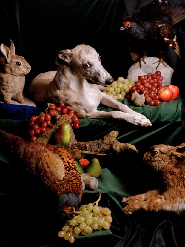 KWS Ruefenacht Nadin Maria Helden Serie Nature Morte 2005