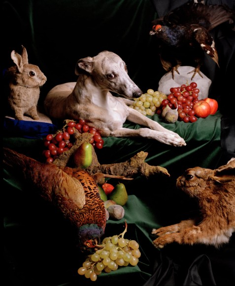 KWS Ruefenacht Nadin Maria Helden Serie Nature Morte 2005