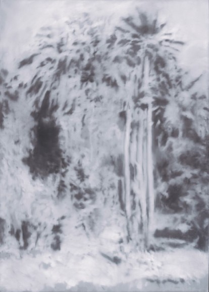 LOU Gerhard Richter Waldstueck Chile 1969 Gerhard Richter 2024 0102